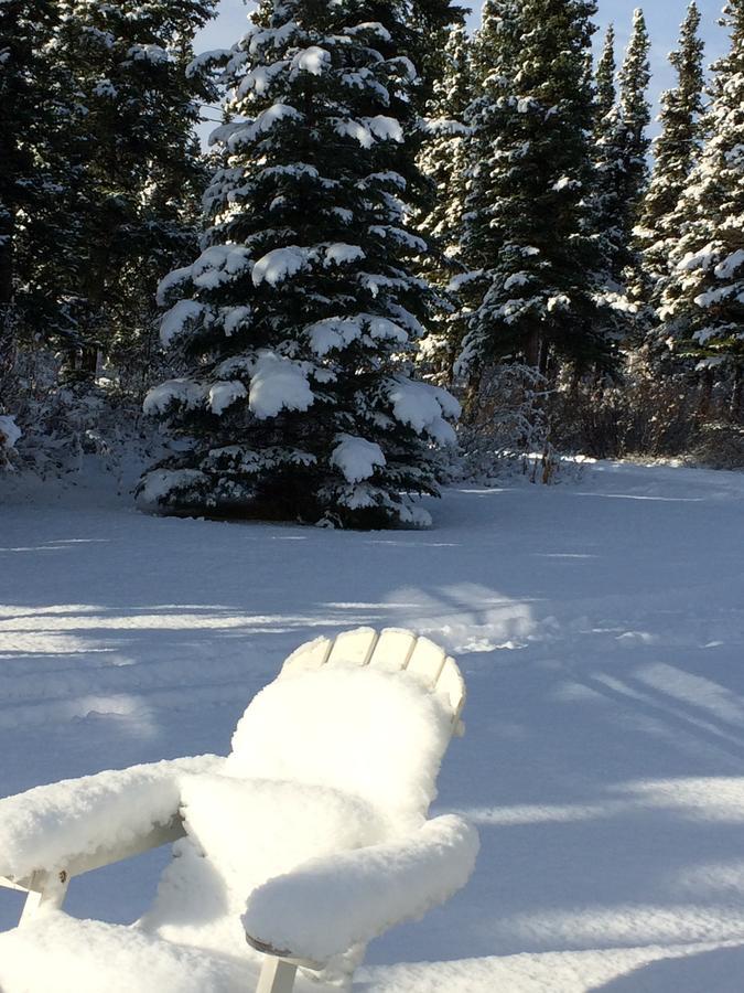 Denali Primrose Bed & Breakfast 希利 外观 照片