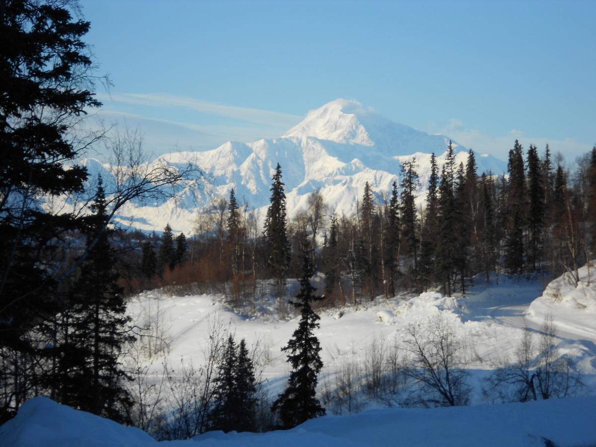 Denali Primrose Bed & Breakfast 希利 外观 照片
