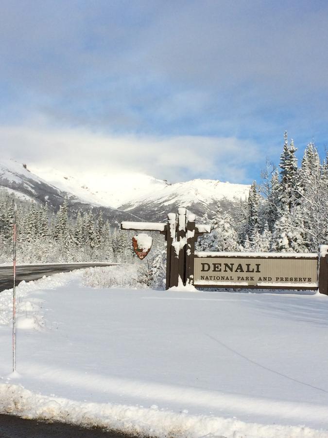 Denali Primrose Bed & Breakfast 希利 外观 照片