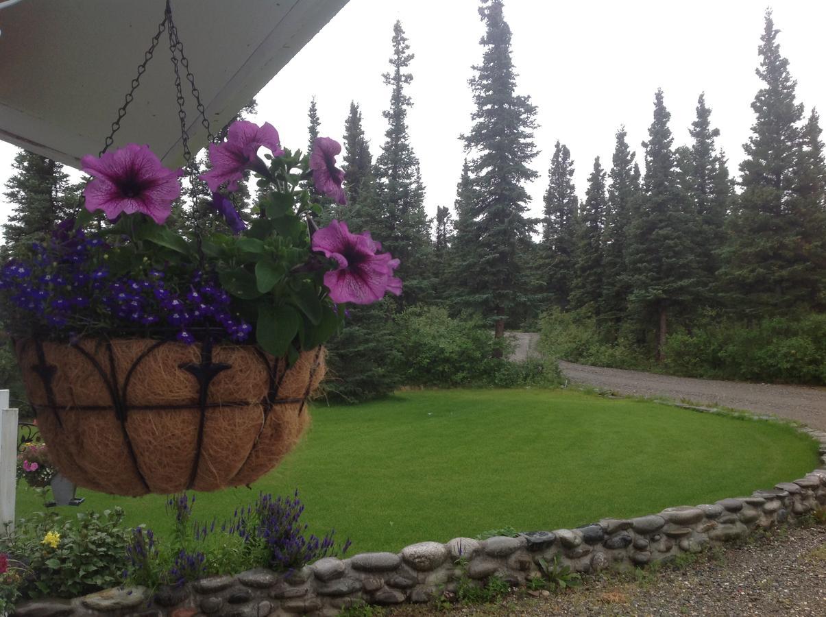 Denali Primrose Bed & Breakfast 希利 外观 照片